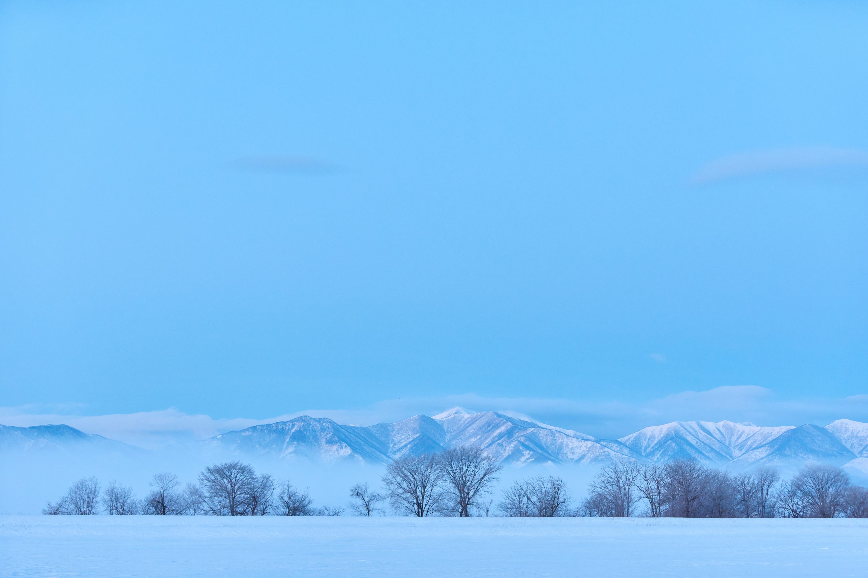 雪国の風景